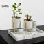 MODERN MARBLE CERAMIC POT PLANTER SPARKLES