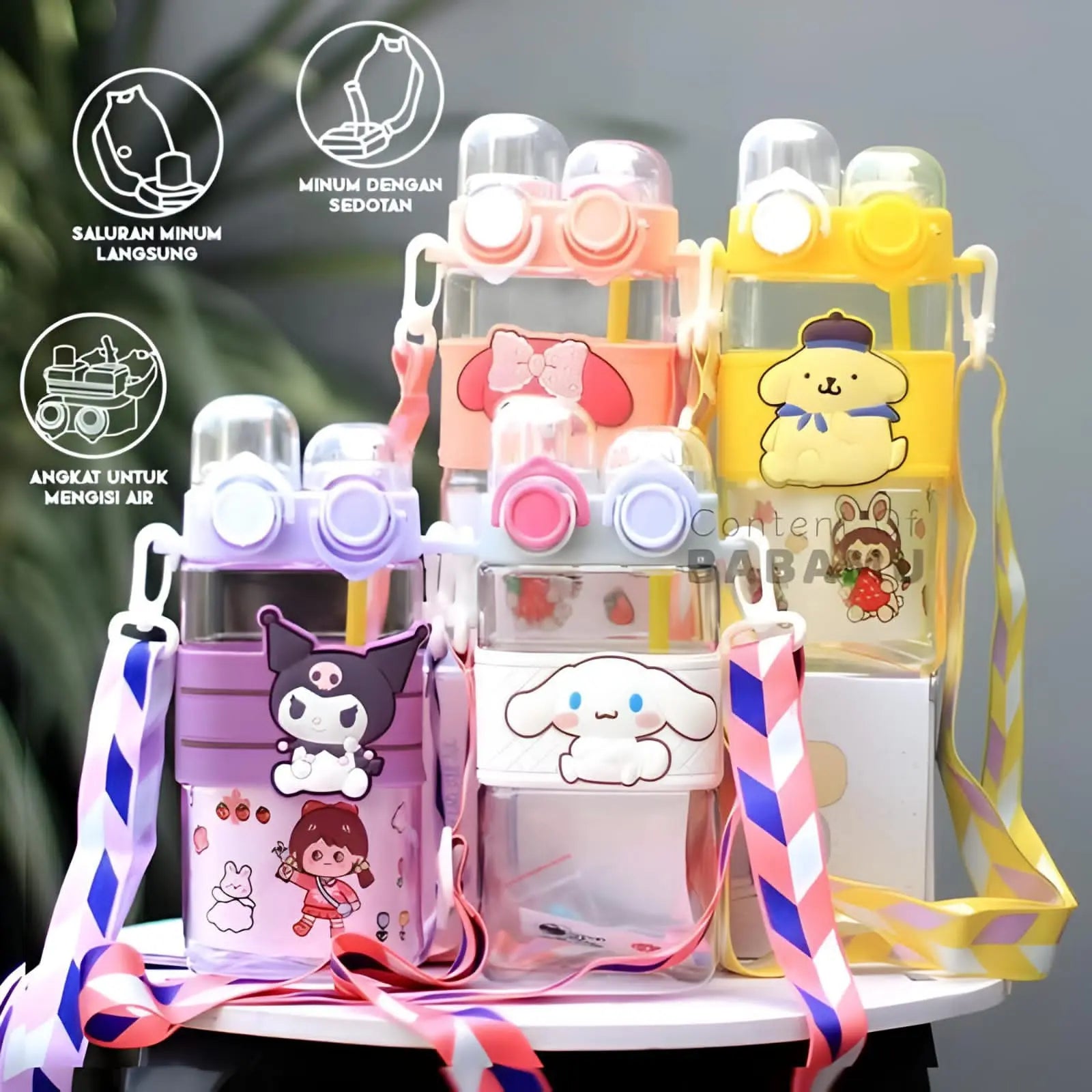 Sanrio Dual Sippers/ WaterBottles SpringBles